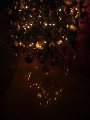 2012122406.jpg