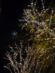2012122406_20121225115016.jpg
