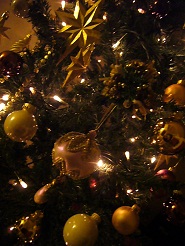 2012122407.jpg