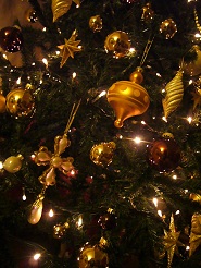 2012122408.jpg
