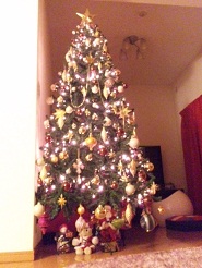 2012122411.jpg