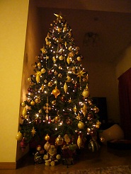 2012122412.jpg