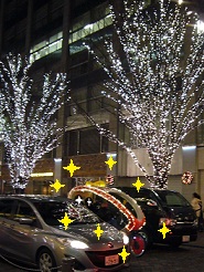 2012122423.jpg