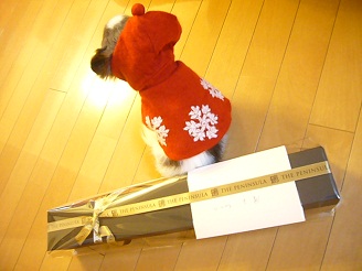 2012122501.jpg