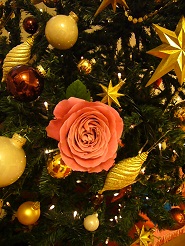 2012122503.jpg