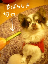 2012122512.jpg