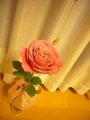 2012122516.jpg