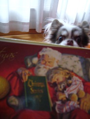 2012122602.jpg