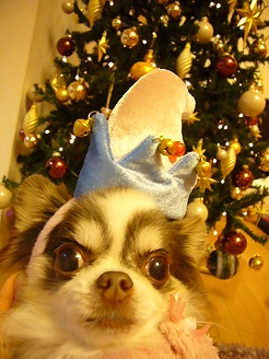 2012122604.jpg