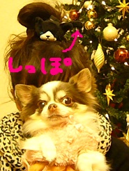 2012122607.jpg