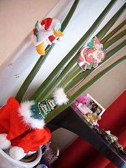 2012122610.jpg