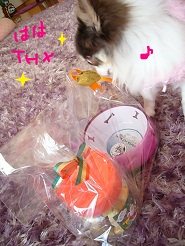 2012122611.jpg