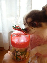 2012122612.jpg