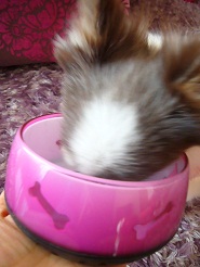 2012122615.jpg