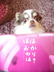 2012122616.jpg