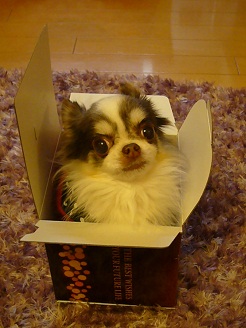 2012122623.jpg