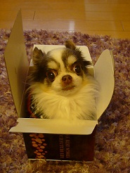 2012122626.jpg
