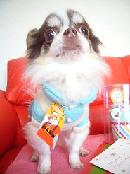 2012122633.jpg