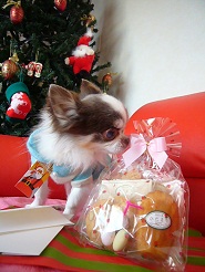 2012122635.jpg