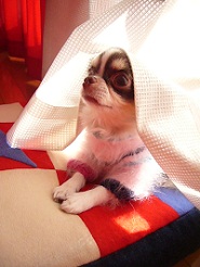 2012122701.jpg