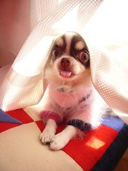 2012122702.jpg