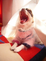 2012122703.jpg