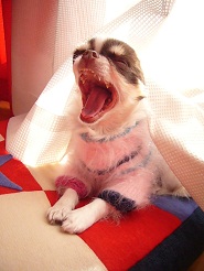 2012122704.jpg
