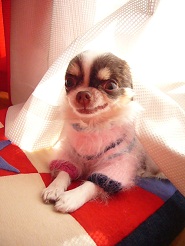 2012122705.jpg
