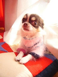 2012122706.jpg