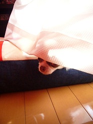 2012122707.jpg
