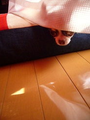 2012122708.jpg