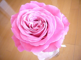2012122709.jpg