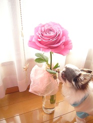 2012122710.jpg