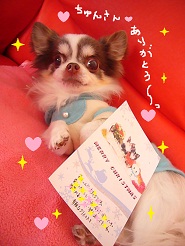 2012122711.jpg