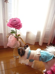 2012122713.jpg