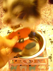 2013011003.jpg