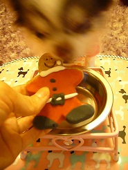 2013011004.jpg
