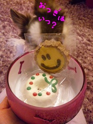 2013011006.jpg