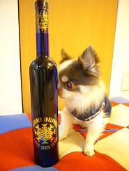 2013011101.jpg