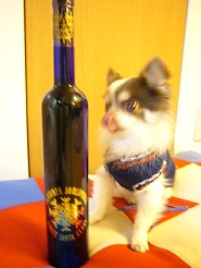 2013011102.jpg
