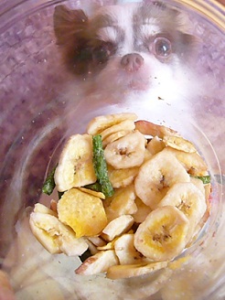 2013011103.jpg