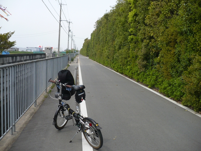 奈良市街の道路