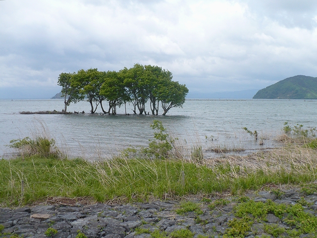琵琶湖 湖北の風景