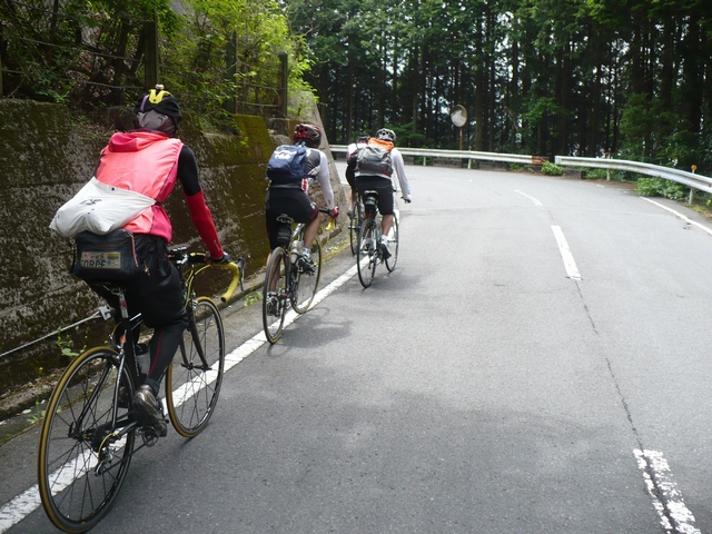 高野山ヒルクライム