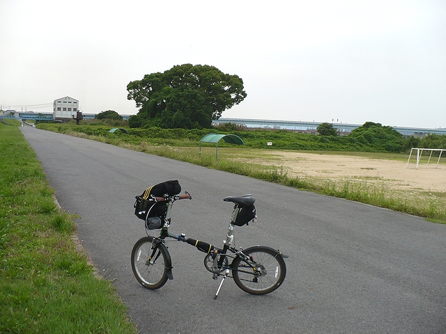 紀の川河川敷