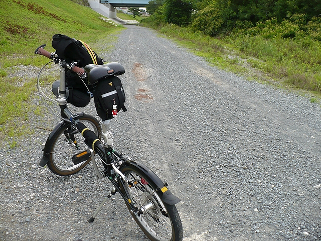 紀の川河川敷