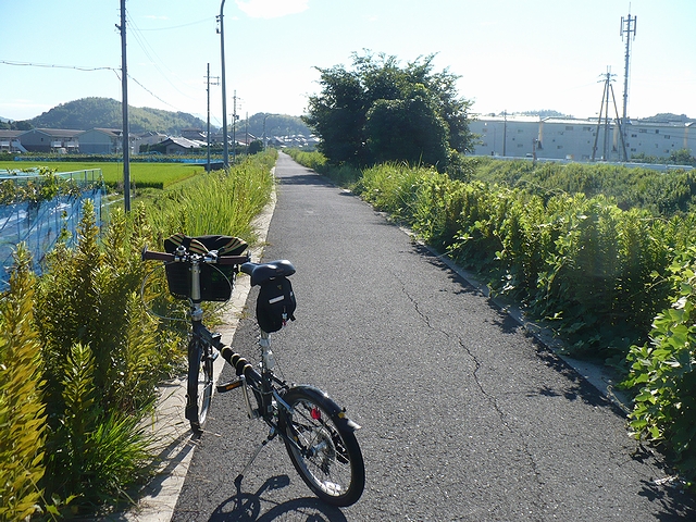 和田川堤防沿いの道