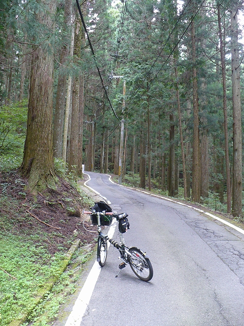 龍神街道(371号線)