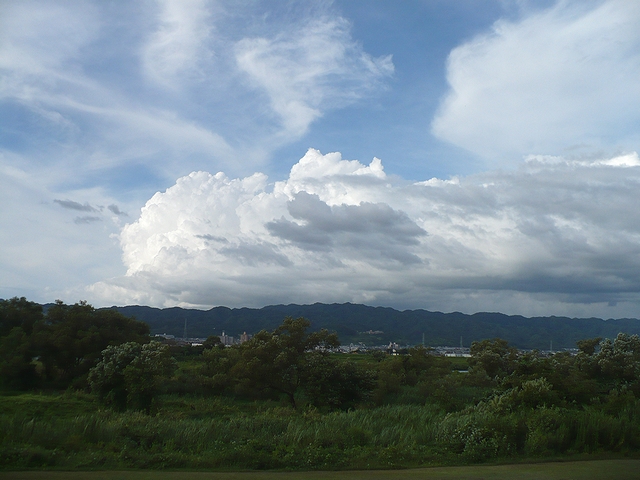 サイクリング日和