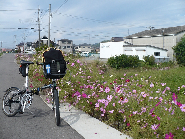 和田川沿い堤防